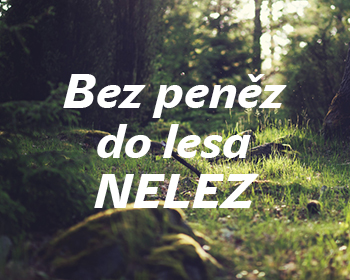 Bez peněz do lesa nelez